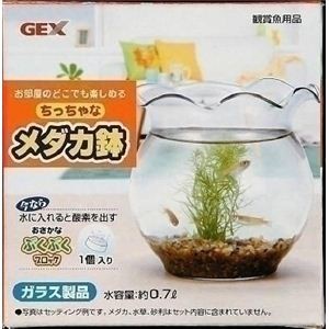 GEX（ジェックス） ちっちゃなメダカ鉢  【ペット用品】