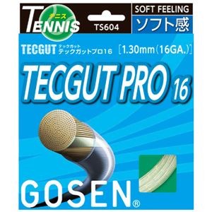 GOSEN（ゴーセン） テックガット テックガットプロ16 TS604NA