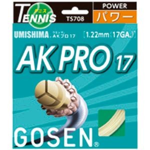 GOSEN（ゴーセン） ウミシマ AKプロ17 TS708NA