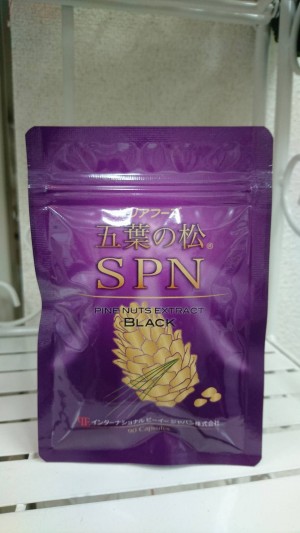 五葉の松 SPN   ブラック