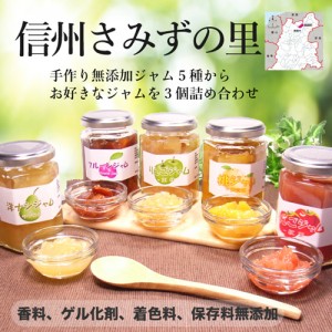 選べる「信州さみずの里」 無添加手作りジャム3個セット