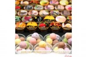 無添加プレミアムアイスクリーム10個入