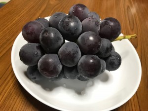 栃木県産ぶどう ピオーネ2Kg